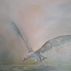 Michelle Eppinger - Facebook