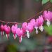 Michelle Erb - Facebook