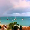 Michelle Esteves - @michelleesteves41 - TikTok