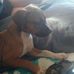 Michelle Ethridge - Facebook