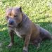 Michelle Yeubanks - Facebook