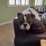 Michelle Evers - @michelle.evers.73 - Instagram