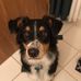 Michelle Eversman - Facebook