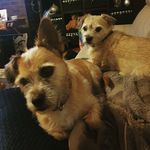 Michelle Everson - @meveraon69 - Instagram