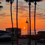 Michelle Everson Hoaglund - @hoagiemom - Instagram