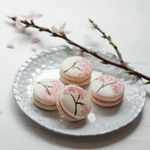 Michelle Ezzo - @cherry__blossom._pastries - Instagram