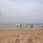 @michelle.falconeer1 - Instagram