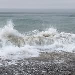 Michelle Fallon - @quiet_interested - Instagram