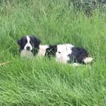 Michelle Fallon - @mchllfallon - Instagram
