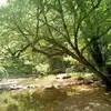 Michelle feagans - @michelle.feagans4 - TikTok