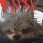 Michelle Fee - Facebook