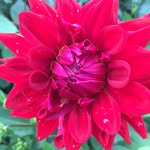 Michellefeeney - @michellefeeney4160 - Instagram