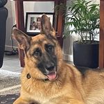 Michelle Fenwick - @michelle.fenwick.5 - Instagram