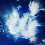 Sherryne Michelle Ferdinand - @ferdinandsherryne - Instagram