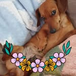 Michelle Fewster - @michellefewster - Instagram