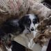 Michelle Fielder - Facebook