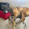 Michelle Flora795 - @mflora6886 - TikTok