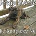 Saving Michelle loving Fluke - Facebook