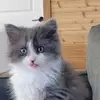 michelleframpton77 - @michelleframpton77 - TikTok