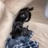 Michelle Freese - @michelle.freese7 - TikTok