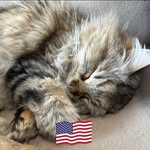 Michelle Fregeau - @michelle3691215 - Instagram
