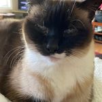 Leah Michelle Frith - @lmf060317 - Instagram