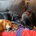 Michelle Fulks - Facebook