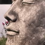 Michèle Furrer - @_michele_furrer - Instagram