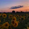 michelle - @_michelle_furrer_ - TikTok