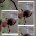 Michelle D. Gacutan - Facebook