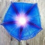 Michelle Galusha - @pocahontasbrat - Instagram