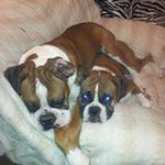 Michelle Garman - @michelle.garman.14 - Instagram