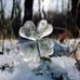 Michelle Brooks Garrick - Facebook