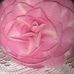 Michelle Garton - Facebook