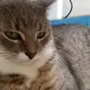Michelle Gaston - @kittykats2134678 - TikTok
