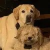 michellegerald489 - @michellegerald489 - TikTok