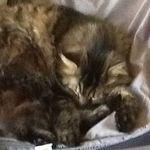Michelle Gerhard Jasny - @michellejasny - Instagram