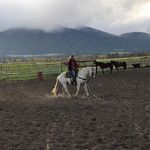 Michelle Yorgensen Gerhard - @yorgensenm - Instagram