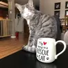 michellegerhardtn - @michellegerhardtn - TikTok