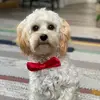 michelle.gerold - @michi.grld - TikTok