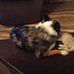 Michelle Gitchell - Facebook