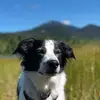 Michelle Giles - @michelle.giles3 - TikTok