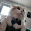 Michelle Giles - @michellebuduliogiles - TikTok