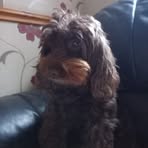 Michelle Gilham - Facebook