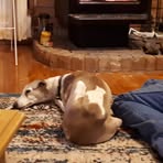 Michelle Gilham - Facebook