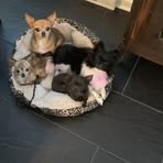 Michèle Gingras - Facebook
