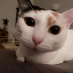 Michelle Glaser - @mglaser657 - Instagram