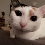 Michelle Glaser - @glaser7510 - Instagram