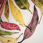 Michelle Glen - @retroppo_design - Instagram