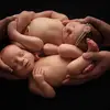 Michelle Glenn Photography - @michelleglennphotography - TikTok